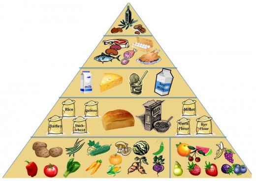 Nutrition Food Pyramid