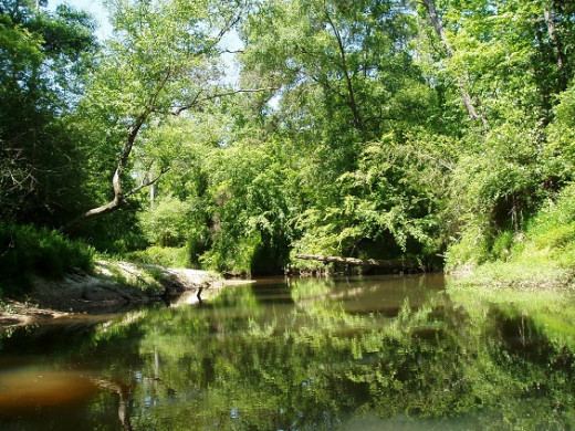 The Tchefuncte River on a warm summer day.