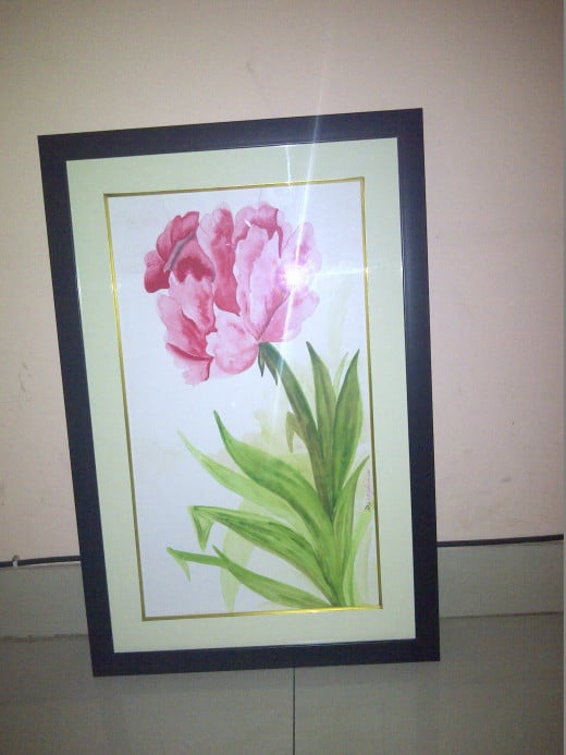 Pink Carnation - Framed 