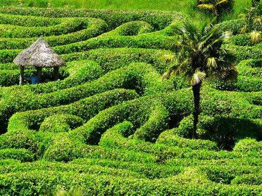 A labyrinth at Garden Glendurgan.