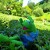 Kermit the Frog is a world traveler and in this shot, he is glad to have found a way out of the maze at Glendurgan.