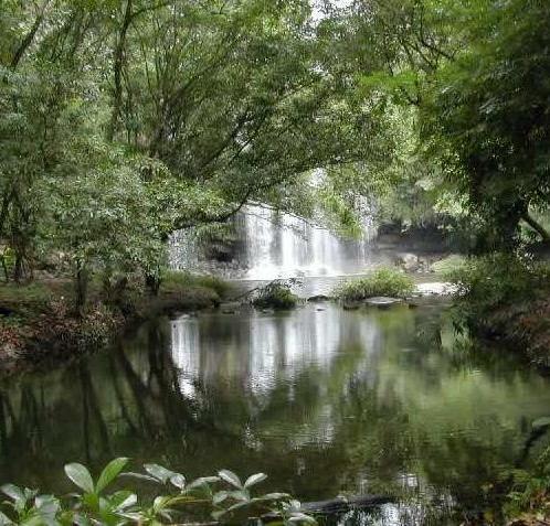 Monteverde Cloud Forest Reserve