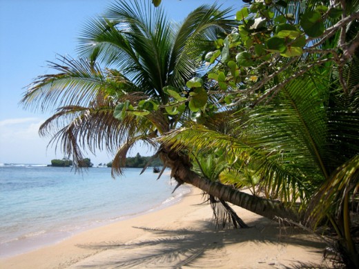 Costa Rica Shores