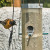 Seen at the backyard bird feeders 4-30-2009. Checking out the sunflowers. Seen at the backyard bird feeders 4-30-2009. Checking out the sunflowers.