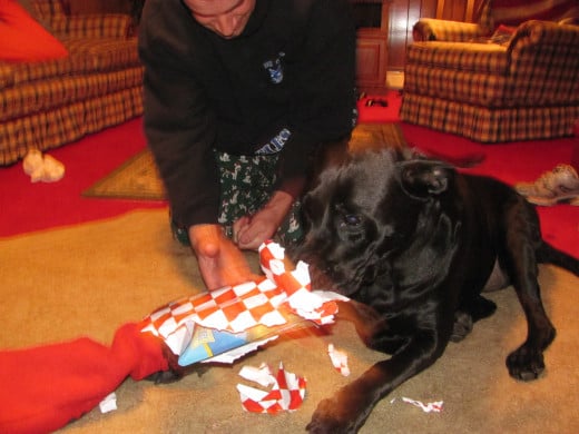 Maddie opening Christmas presents