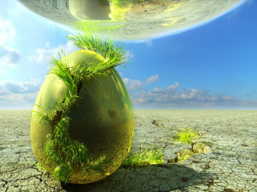 Cosmic Egg
