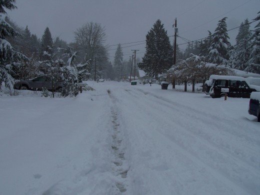 July in the frozen city