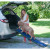 Pet Gear Travel Lite Bi-Fold Half Ramp for cats and dogs-SUV