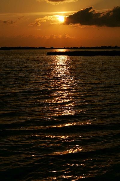 The way the sun is setting over the water in this picture, makes it look like the sunshine is coming right towards you! 