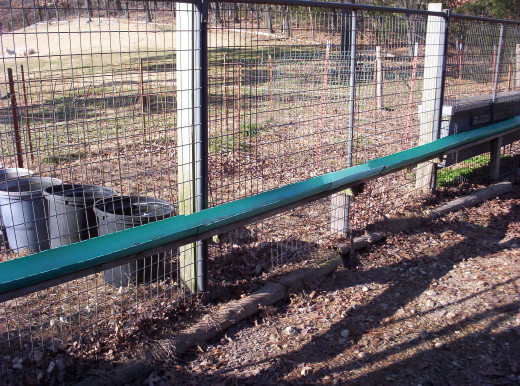 Inexpensive Feeders Built from Six Inch Diameter PVC Pipe Cut in Two. Twenty Gallon Garbage Cans Used for Water Tanks for Goats. 