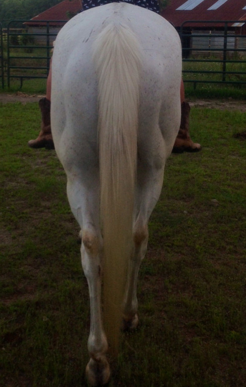 Relaxed and at ease tail. Just a little dirty haha.