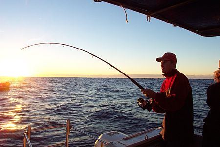 Fishing at Dawn