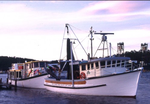 Clyde River boat rides