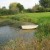 Nature: boating on the lily pond Nature: boating on the lily pond