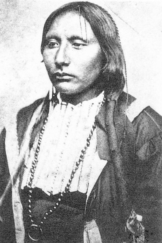 Big Tree Kiowa chief. used for illustration, but does not represent any actual characters in the story Galvanized Yankee during the civil War