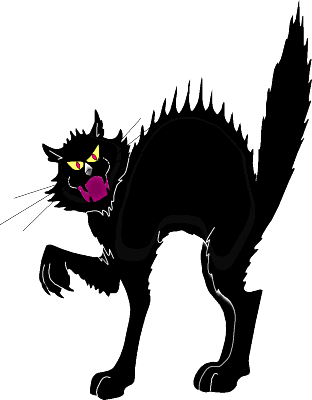 Frightened black cat.