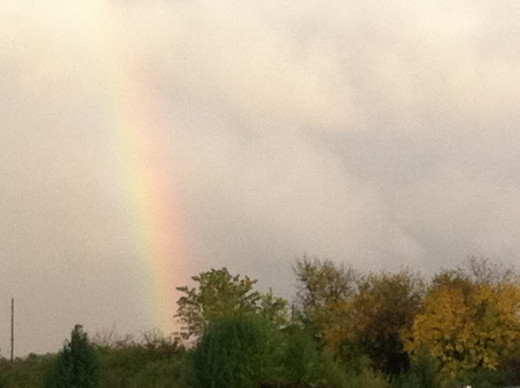 The Promise of Hope