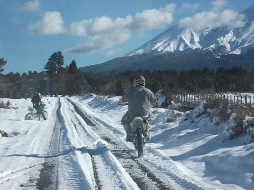 There was always fun for children and the not so young humans after a snow storm. 