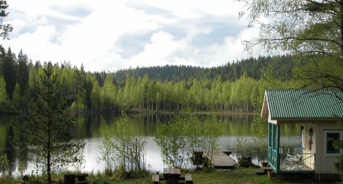 Finnish Traditional Sauna