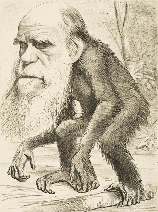 A caricature of Charles Darwin as an ape, published in The Hornet, a satirical magazine (1871)