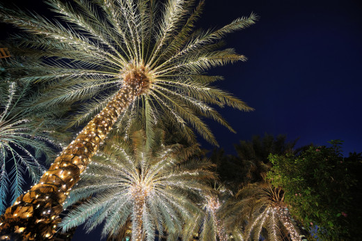 Whether real or fake, lighting a palm tree ads a touch of class and elegance to a party.