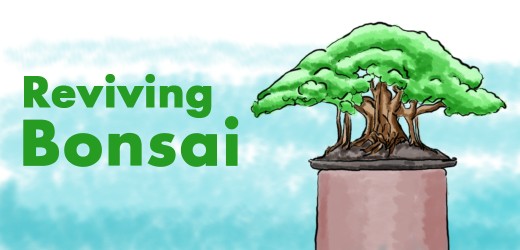 What causes a bonsai tree to lose leaves?