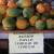 Local Grown Organic Solo Papayas