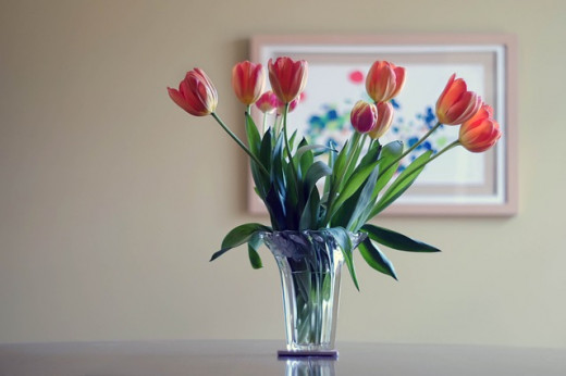 Something as simple as tulips in a glass vase will make your room pop with color. Best of all you can change the colors as often as you prefer.
