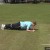 This is an example of a plank exercise. They are reportedly holding it for 30 seconds while tightening their stomach muscles to hold the position properly. This is an example of a plank exercise. They are reportedly holding it for 30 seconds while tightening their stomach muscles to hold the position properly.