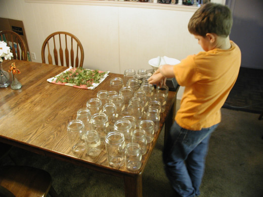 We set up the jars, added the plants. Don't bother the kid, he has his Masters degree now...
