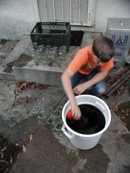 We made humic acid by soaking leaves in water for several days.