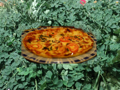 Homemade Pizza with Malunggay