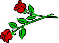 Copyright 2008