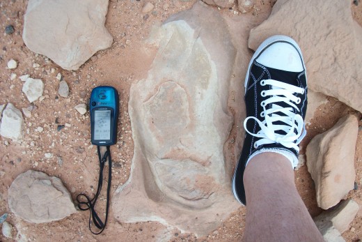 My foot next to the human print feet away from the Dilophosaurus imprint.