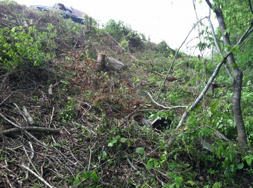 It's a little like cutting trees on the side of a cliff...