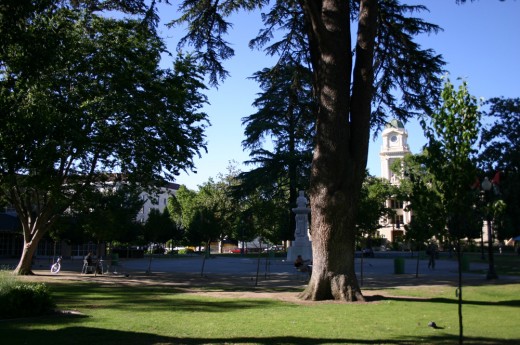 Cesar Chavez Park In Sacramento, California