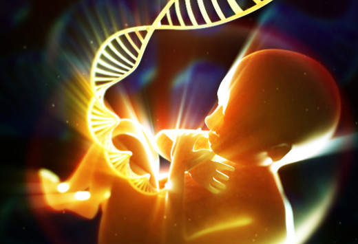 DNA Testing During Pregnancy