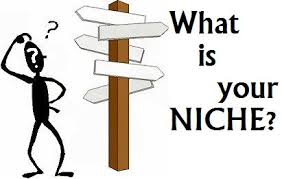 A profitable niche has high demand, low competition and, targeted traffic.