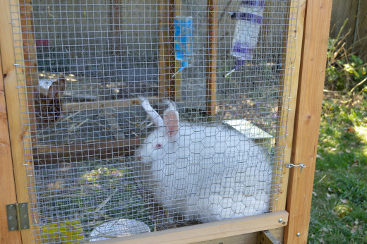 This is Angel