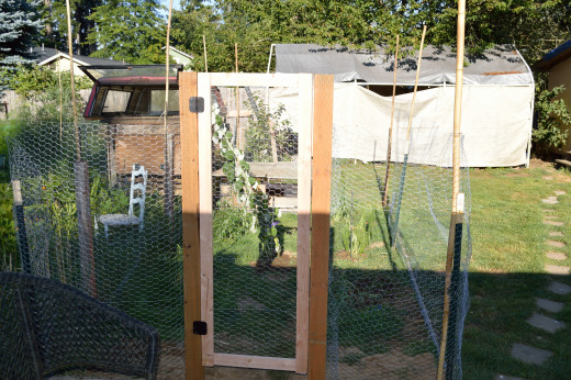 Home sweet home for the quail