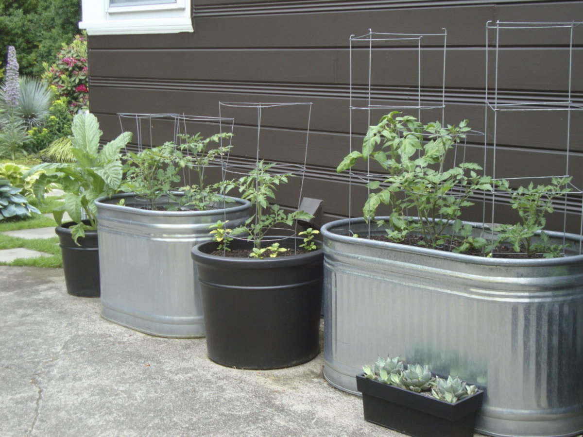 How To Do Vegetable Gardening In Containers | hubpages

