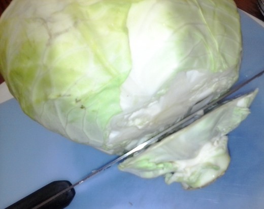 Figure 1-1. Remove outer leaves. Wash the head of cabbage. Cut off the base of the head as shown.