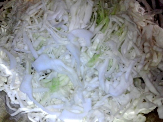 Even with finely shredded cabbage, the ribs of the cabbage make fairly large pieces. This is one of the reasons the cabbage should be cut as thinly as possible. It helps prevent spoilage.