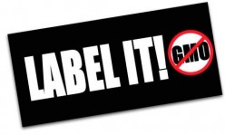 Genetically Modified Food Labeling and Why It's Necessary (UPDATED)