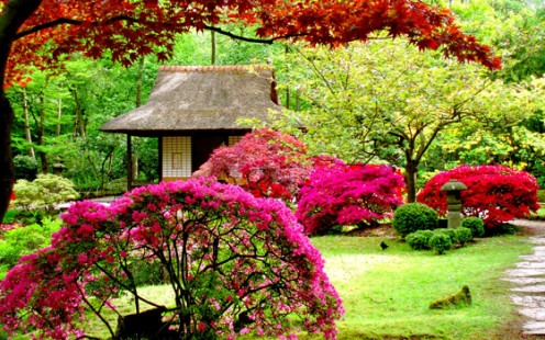 "Beauty is truth, truth beauty. That is all ye know on earth and all ye need to know" -Ode to a Grecian Urn