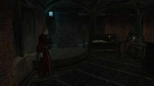 Even those who generally avoided the Mages Guild often passed through thanks to their teleportation network.