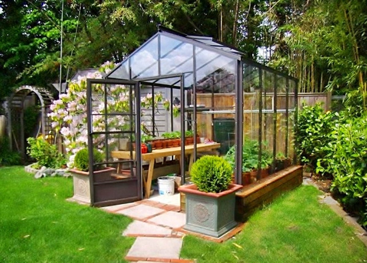 Homemade greenhouse ideas | hubpages