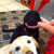 Baxter and Honey couldn't wait to see inside their Christmas stockings Baxter and Honey couldn't wait to see inside their Christmas stockings