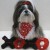 Shih Tzu dressed for Valentine's Day Shih Tzu dressed for Valentine's Day