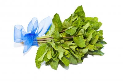 Bouquet Garni - Small bunch of herbs